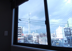 Skytree from window of your living space.