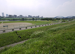 Tama river bank is a 1 minute walk from the house