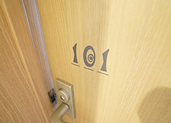 Room door with key