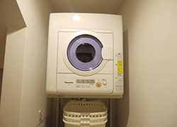 Convenient dryer