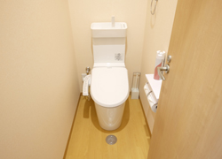 Toilet with bidet function.