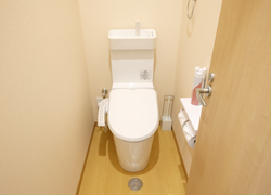 Toilet with bidet function.