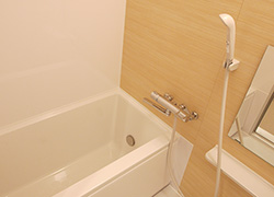 Bath tub is available as well.