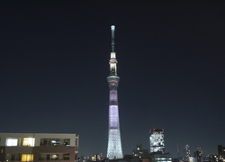 Room405　light up of skytree will change everyday♪