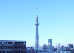 Room405　Skytree during the daytime♪